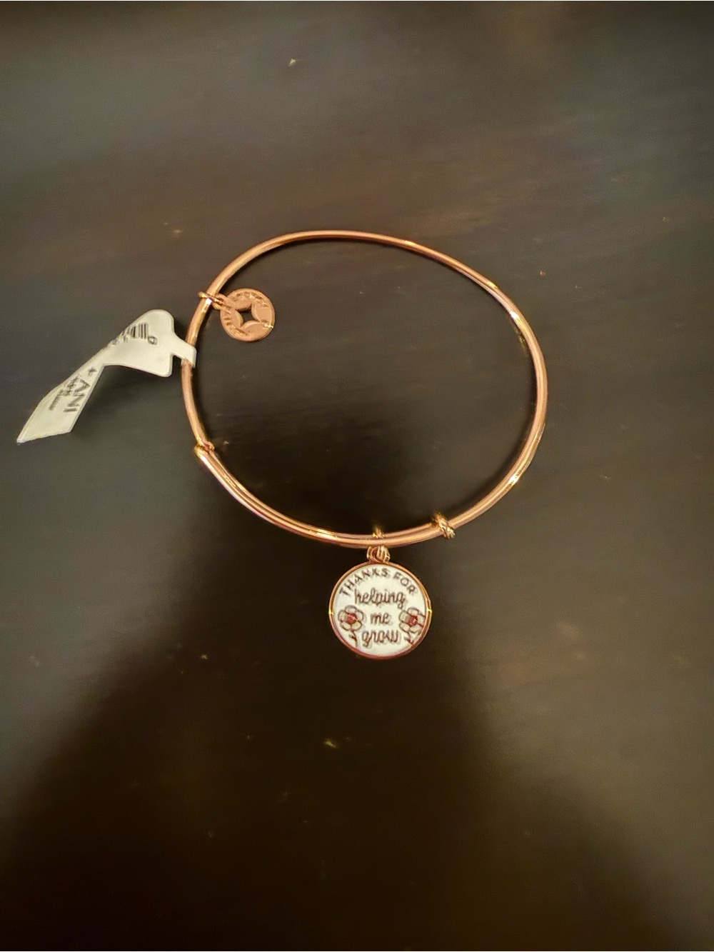 Alex and Ani Rose Gold Enamel 'Thanks for Helping Me Grow' Charm Bangle